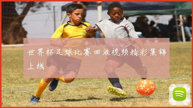 世界杯足球比赛回放视频精彩集锦上线