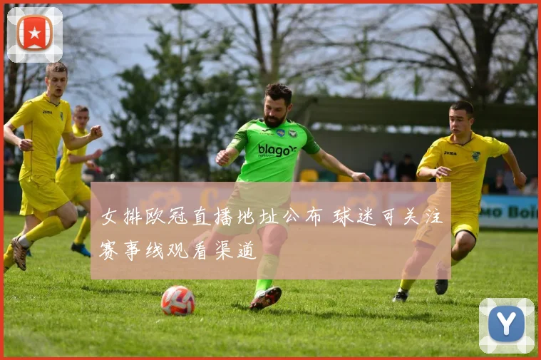 女排欧冠直播地址公布 球迷可关注赛事线观看渠道